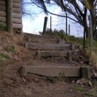 Old steps. Jan. 2002. Cambridge Tree Trust